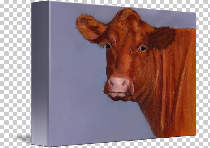 Hereford Cattle Paper Beef Cattle Zazzle Wedding Invitation PNG, Clipart, Art, Beef, Beef Cattle, Bull, Calf Free PNG Download
