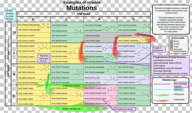 Nonsense Mutation Genetic Code Point Mutation Genetics PNG, Clipart, Amino Acid, Amino Acids, Area, Codon, Computer Program Free PNG Download