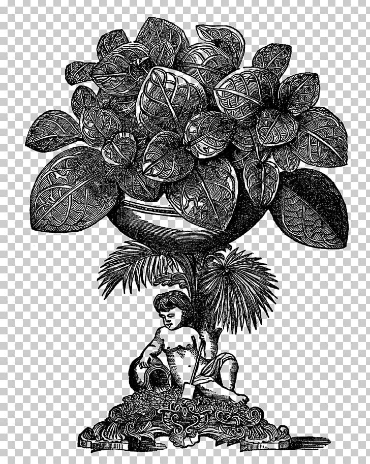 Potted: Make Your Own Stylish Garden Containers Drawing Botanical Illustration Digital Illustration PNG, Clipart, Annette Goliti Gutierrez, Black And White, Botanical Illustration, Botany, Digital Illustration Free PNG Download