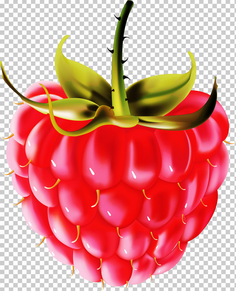 Strawberry PNG, Clipart, Accessory Fruit, Food, Fruit, Natural Foods, Plant Free PNG Download
