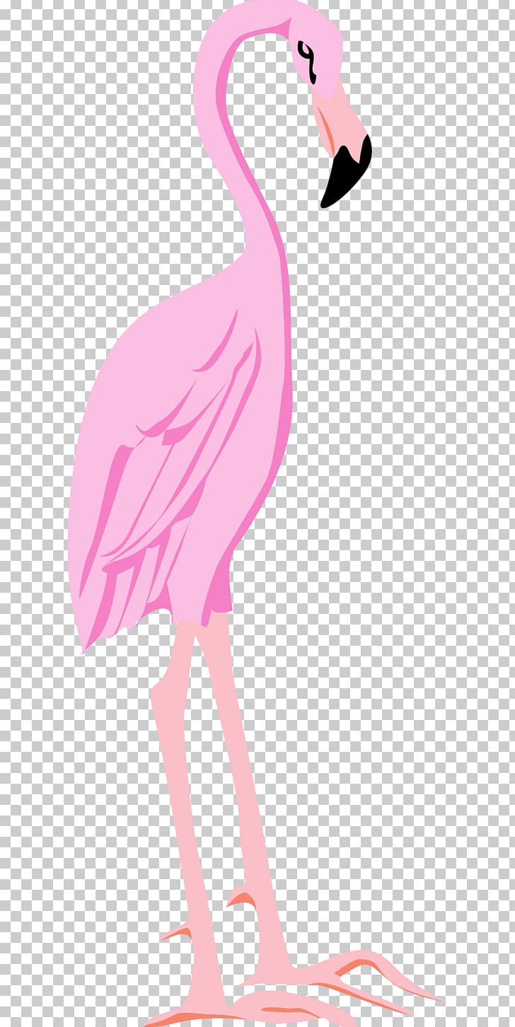 Bird Flamingo PNG, Clipart, Animals, Animation, Beak, Bird, Blog Free PNG Download