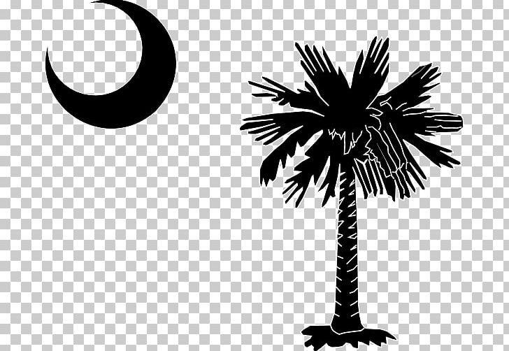 Spartanburg 1st Annual SC ACHE Gala Sumter Flag Of South Carolina Asset Preservation PNG, Clipart, Arecales, Borassus Flabellifer, Branch, Deca, Flag Of South Carolina Free PNG Download
