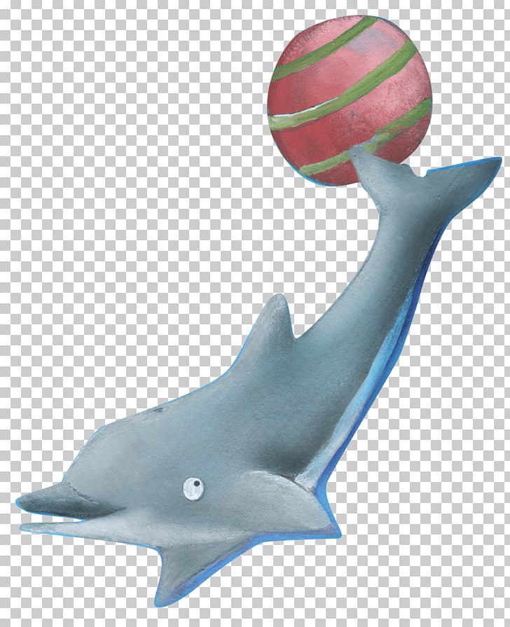 Common Bottlenose Dolphin Short-beaked Common Dolphin Tucuxi Marine Mammal PNG, Clipart, Animal, Animals, Bottlenose Dolphin, Cetacea, Child Free PNG Download
