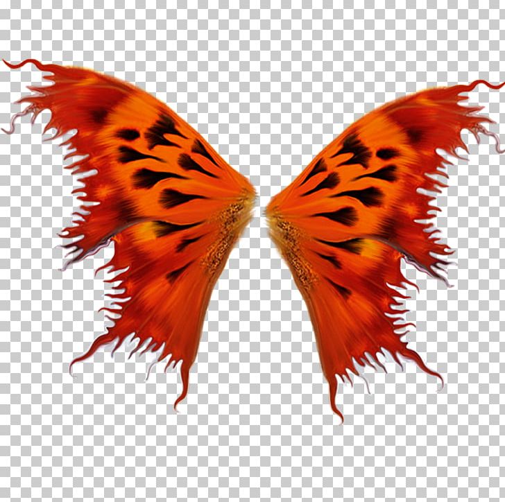 Butterfly Insect Wing Moth PNG, Clipart, Angel Wing, Angel Wings, Antenna, Butterflies And Moths, Butterfly Free PNG Download