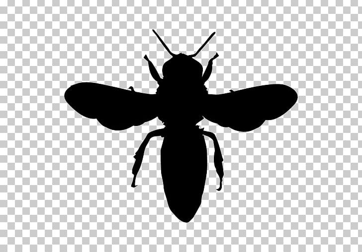 European Dark Bee Silhouette Honey Bee Bumblebee PNG, Clipart, Arthropod, Bee, Black And White, Bumblebee, European Dark Bee Free PNG Download