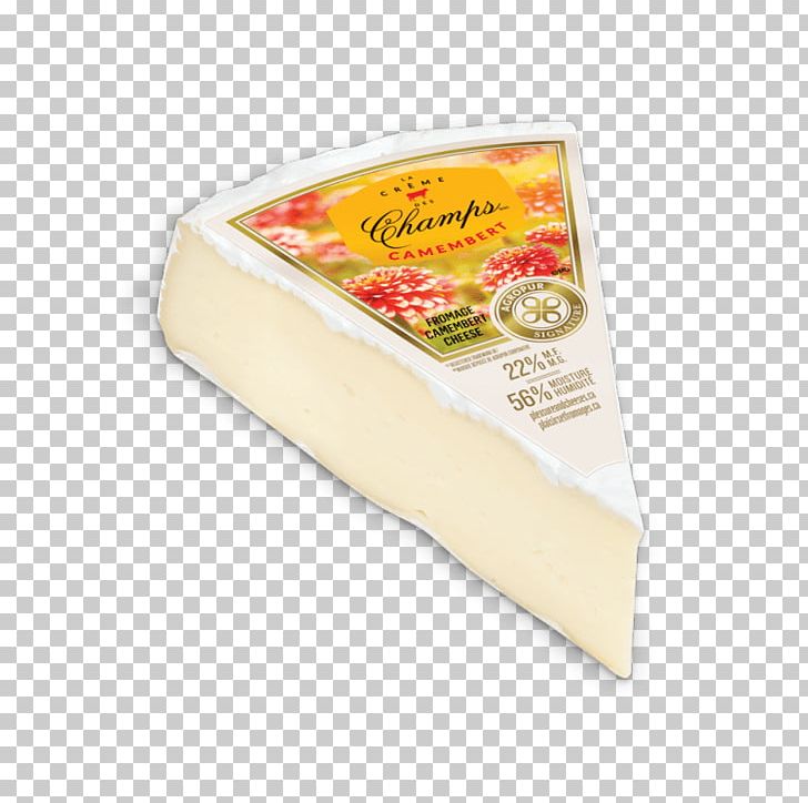 Processed Cheese Gruyère Cheese Montasio Beyaz Peynir Grana Padano PNG, Clipart, Beyaz Peynir, Camembert, Cheese, Dairy Product, Food Free PNG Download