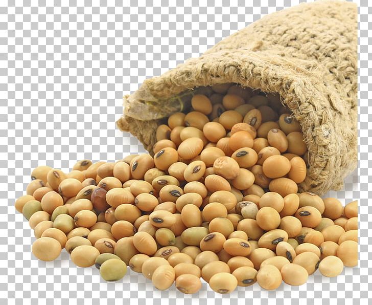 Soybean Meal Soy Milk Edamame Food PNG, Clipart, Bean, Commodity, Edamame, Food, Genetically Modified Soybean Free PNG Download