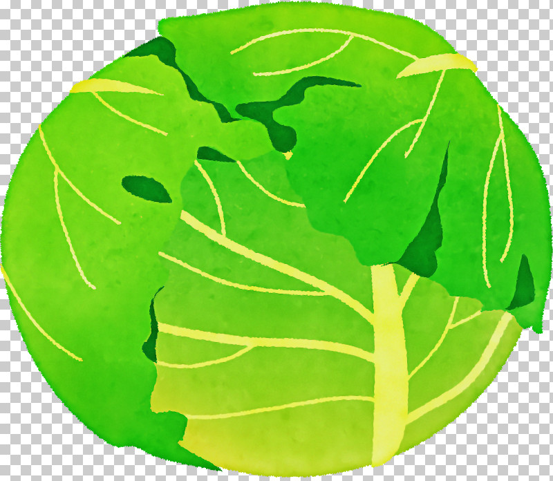 Leaf Vegetable Leaf Alocasia Red Cabbage Vegetable PNG, Clipart, Alocasia, Bud, Cabbage, Leaf, Leaf Vegetable Free PNG Download