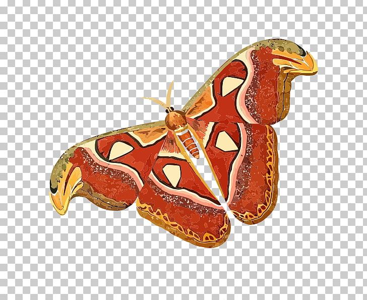 Butterfly Insect Hummingbird Attacus Atlas PNG, Clipart, Arthropod, Attacus Atlas, Butterflies And Moths, Butterfly, Caterpillar Free PNG Download