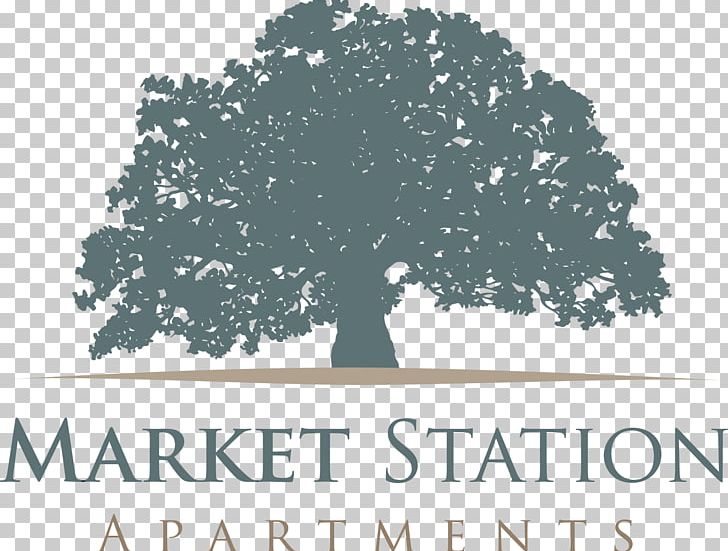 Oakleaf Auto Inc Cayuga Junction House Market Station Apartments Hartford PNG, Clipart, Apartment, Brand, Canoga Island, Cayuga Junction, Community Free PNG Download