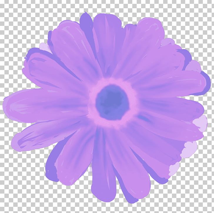 Transvaal Daisy PNG, Clipart, Bera, Daisy Family, Flower, Flowering Plant, Gerbera Free PNG Download
