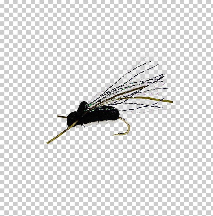 Artificial Fly Cicadoidea Insect Nymph PNG, Clipart, Animal, Arthropod, Artificial Fly, Cicada, Cicadoidea Free PNG Download
