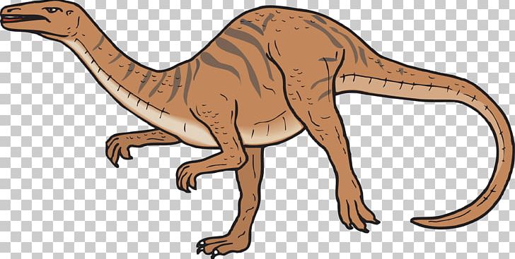 Coelophysis Spinosaurus Coelurus Compsognathus Chirostenotes PNG, Clipart, Animal, Brown, Brown Dog, Brown Rice, Brown Vector Free PNG Download
