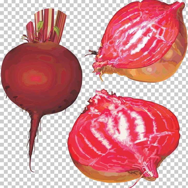 Common Beet Beetroot PNG, Clipart, Beet, Beet Png, Beetroot, Common Beet, Desktop Wallpaper Free PNG Download