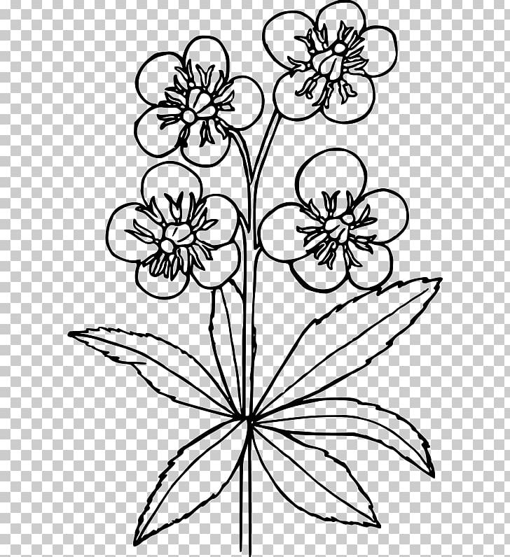 Flower Wall Decal Sticker Stencil PNG, Clipart, Art, Black And White, Coloring Book, Cut Flowers, Decal Free PNG Download