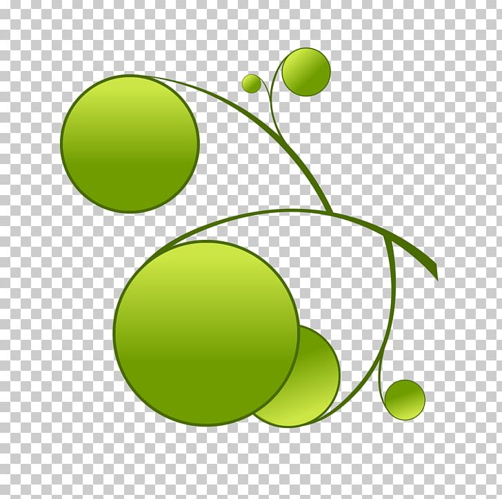 Green Circle PNG, Clipart, Branches And Leaves, Circle Frame, Color, Computer Wallpaper, Education Free PNG Download