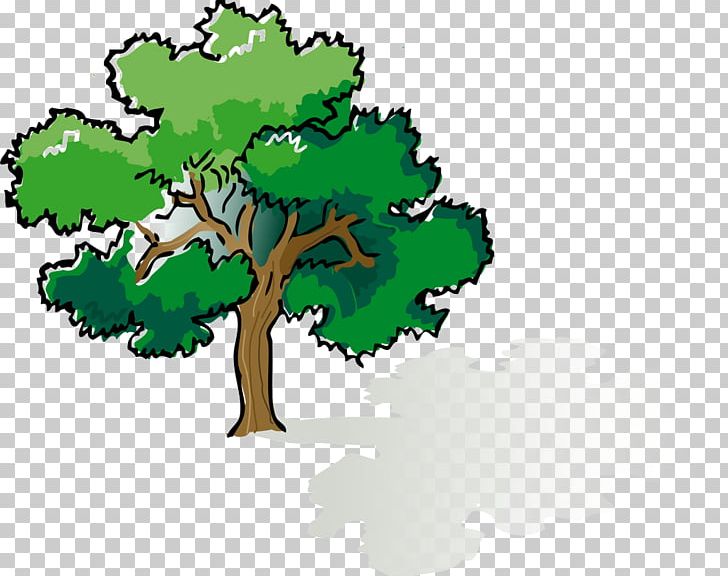 Shade Tree Oak PNG, Clipart, Branch, Canopy, Can Stock Photo, Christmas Tree, Clip Art Free PNG Download