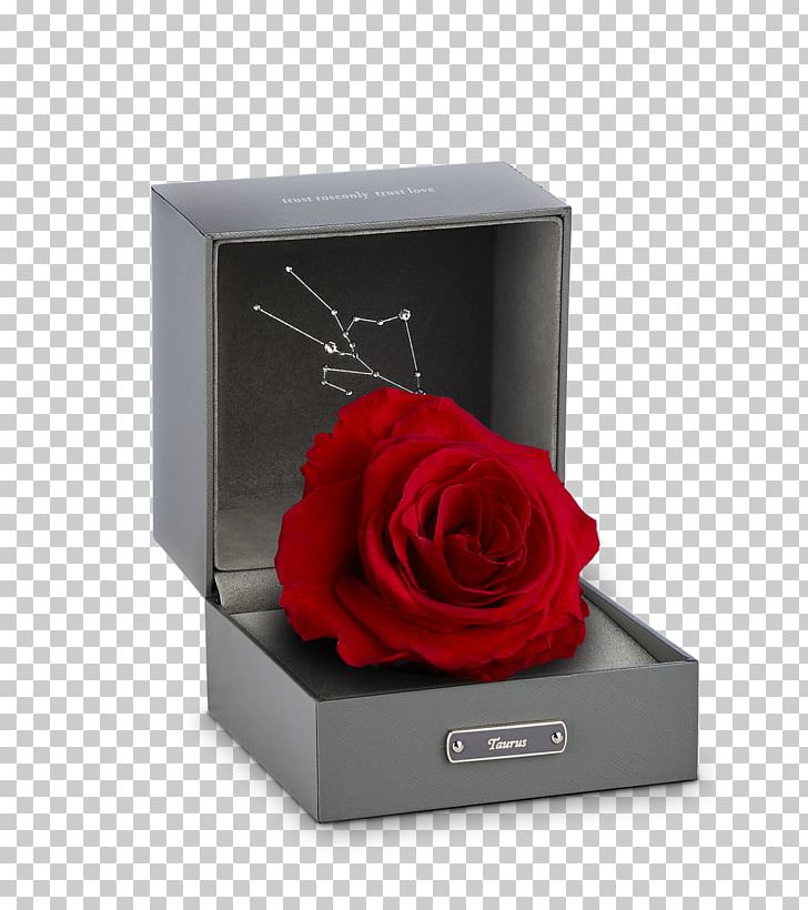 Beach Rose Gift Aries Valentines Day Box PNG, Clipart, Aries, Beach Rose, Box, Character Structure, Constellation Free PNG Download