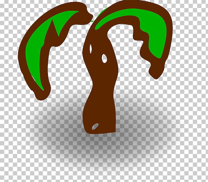 Arecaceae PNG, Clipart, Arecaceae, Art, Download, Drawing, Free Trees Buckle Elements Free PNG Download