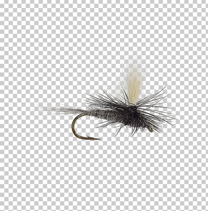 Artificial Fly Fly Fishing Baetis Holly Flies PNG, Clipart, Artificial Fly, Baetis, Blue Parachute, Email, Fishing Bait Free PNG Download