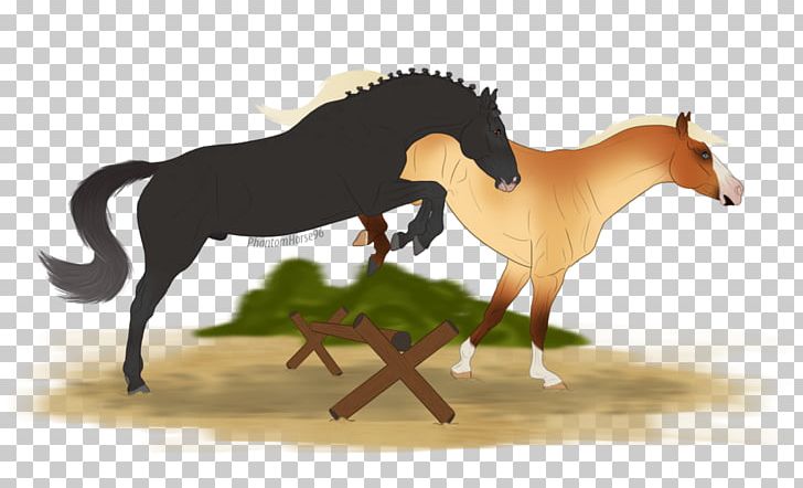 Mustang Stallion Mare Star Stable Art PNG, Clipart,  Free PNG Download