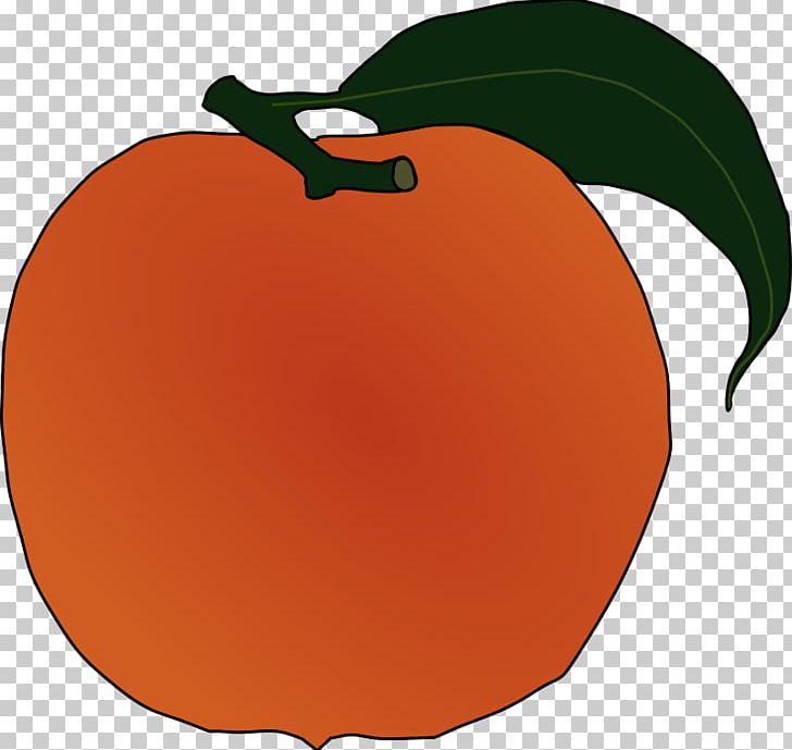 Peach Fruit PNG, Clipart, Apple, Computer Icons, Diospyros, Download, Flowering Plant Free PNG Download
