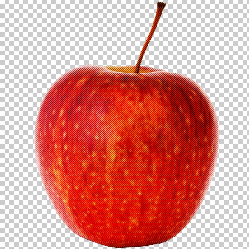 Fruit Red Apple Plant Food PNG, Clipart, Accessory Fruit, Apple, Food, Fruit, Leaf Free PNG Download