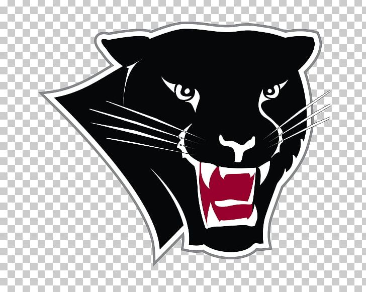 Florida Institute Of Technology Florida Tech Panthers Football Florida Tech Panthers Women's Basketball Florida Southern College Florida Tech Panthers Men's Basketball PNG, Clipart,  Free PNG Download