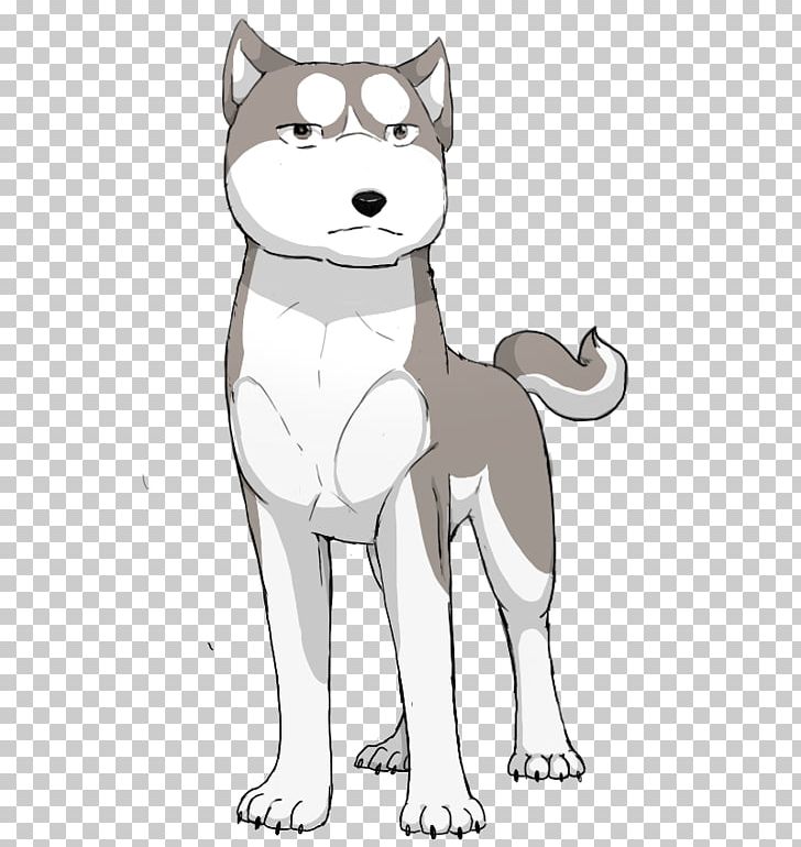 Siberian Husky Whiskers Dog Breed Cat PNG, Clipart, Animals, Breed, Carnivoran, Cartoon, Cat Free PNG Download