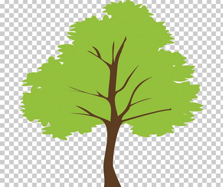 Tree PNG, Clipart, Art, Branch, Drawing, Grass, Green Free PNG Download