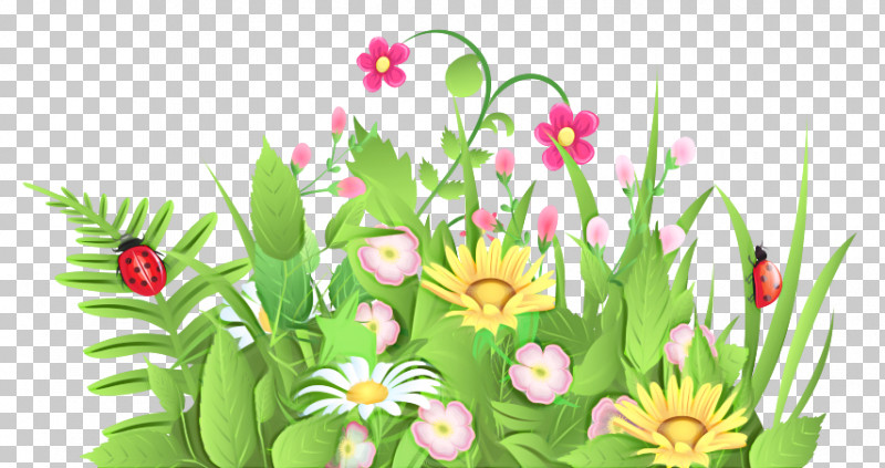Floral Design PNG, Clipart, Cartoon, Drawing, Floral Design, Flower, Junior Carnival Free PNG Download