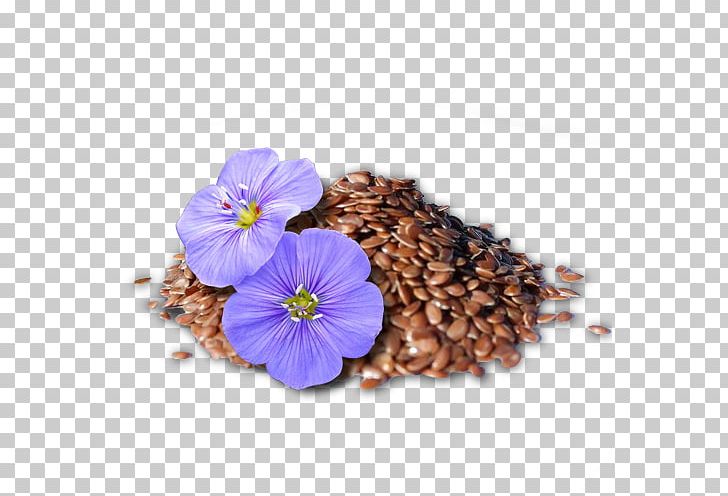 Agriculture Quantum Biosciences Real-time Polymerase Chain Reaction Food Industry PNG, Clipart, Agriculture, Flax, Flower, Food, Food Industry Free PNG Download