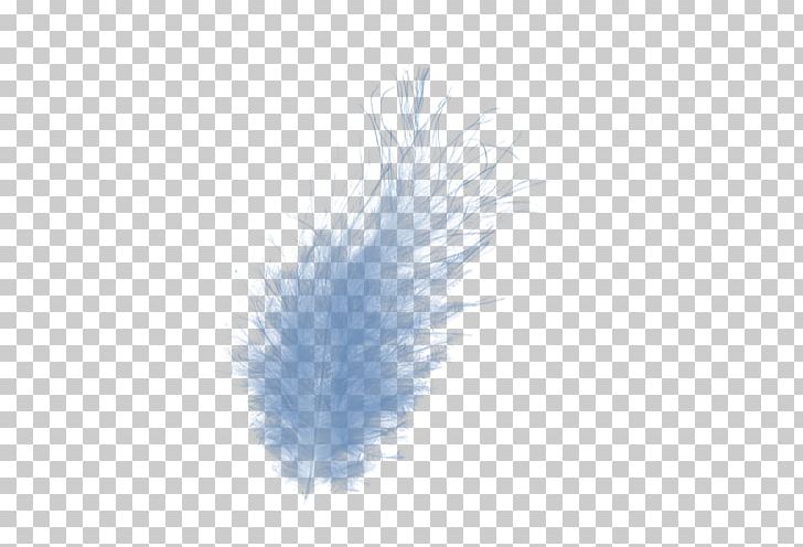 Feather PNG, Clipart, Animals, Feather, Sweetness Free PNG Download