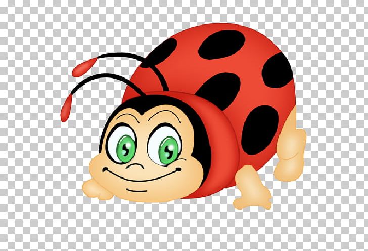 Ladybird Beetle PNG, Clipart, Beetle, Cartoon, Download, Drawing, Insect Free PNG Download