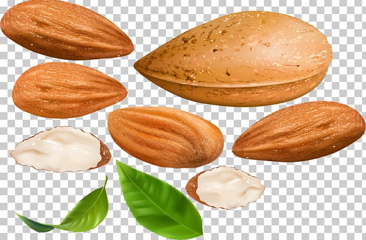 Nut Almond Dried Fruit Apricot Kernel PNG, Clipart, Android, Apricot, Apricot Kernel, Commodity, Drawing Free PNG Download