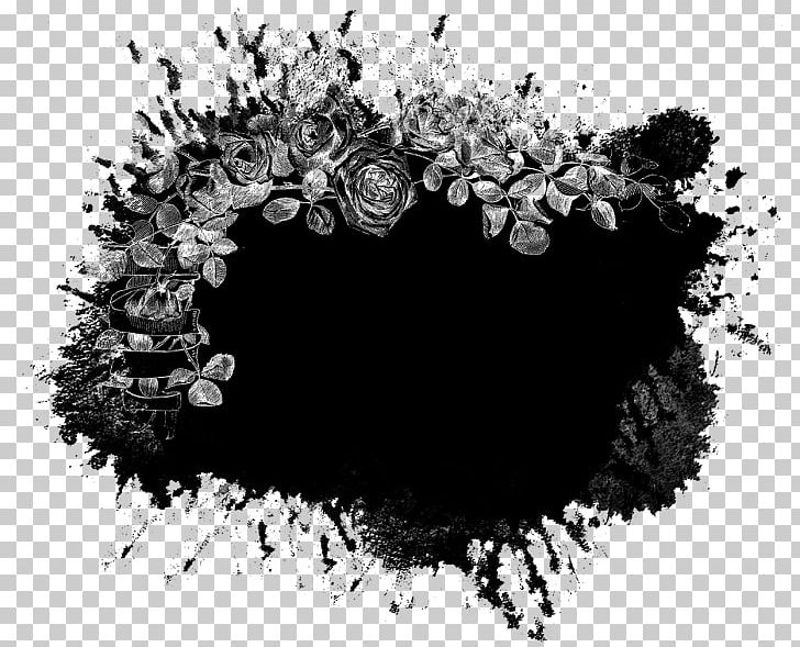 Photography Mask PNG, Clipart, Art, Black, Black And White, Circle, Computer Wallpaper Free PNG Download