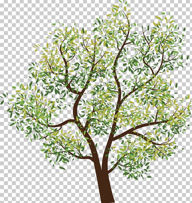 Tree Computer File PNG, Clipart, Baby, Blue, Branch, Computer File, Flower Free PNG Download