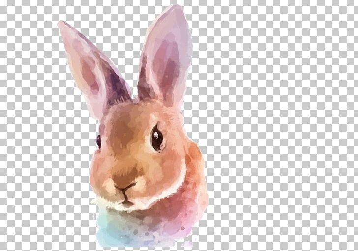 Watercolor Painting Rabbit Illustration PNG, Clipart, Animals, Brush, Canvas, Color, Daydream Free PNG Download