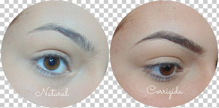 Eyelash Extensions Eyebrow Eye Shadow Hair Coloring PNG, Clipart, Artificial Hair Integrations, Beauty, Cheek, Chin, Cosmetics Free PNG Download