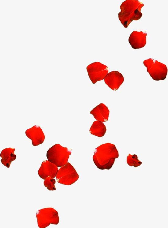 Rose Petals Drift Valentines Day PNG, Clipart, Day, Day Clipart, Drift, Drift Clipart, Petal Free PNG Download