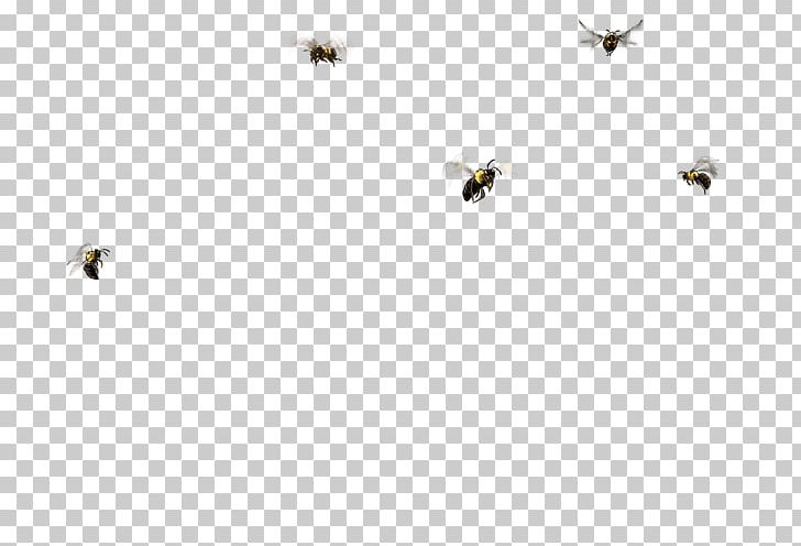 Honey Bee Line Font PNG, Clipart, Bee, Bird, Flock, Honey, Honey Bee Free PNG Download