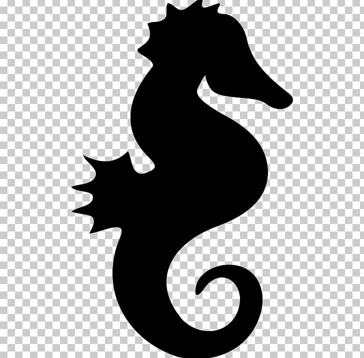 Seahorse PNG, Clipart, Seahorse Free PNG Download