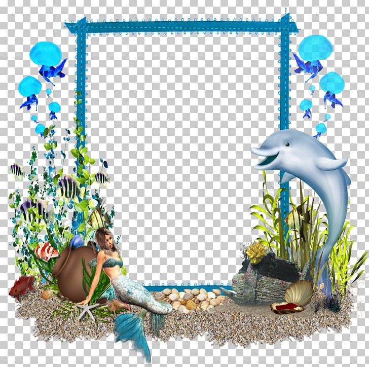 Frames Photography PNG, Clipart, Dolphin, Drawing, Fauna, Flora, Flower Free PNG Download