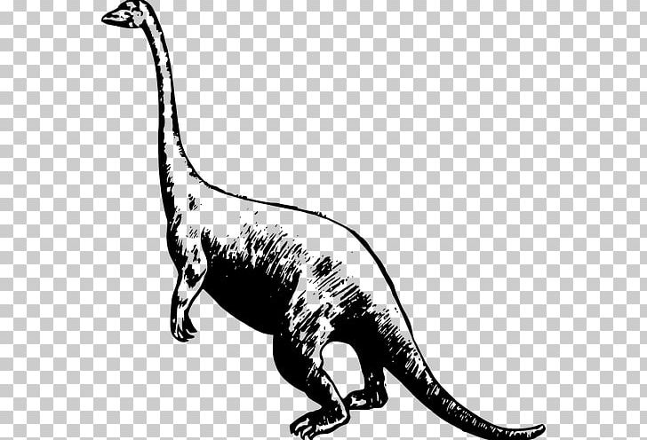 Tyrannosaurus Ankylosaurus Triceratops Deinonychus Velociraptor PNG, Clipart, Animal Figure, Ankylosaurus, Basic, Black And White, Carnivoran Free PNG Download