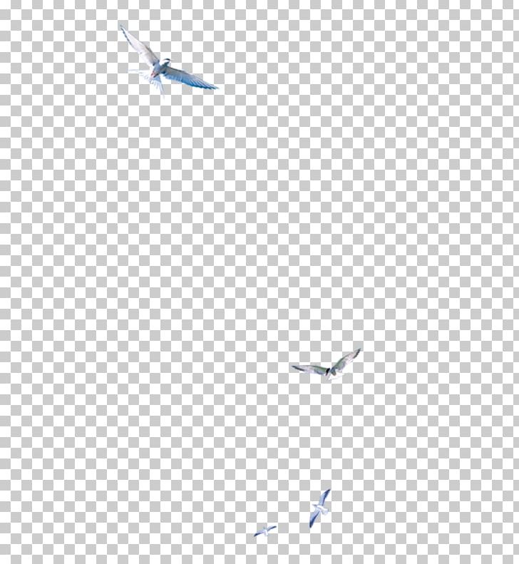 Blue Line Angle Point Sky PNG, Clipart, Angle, Bird, Birds, Blue, Blue Line Free PNG Download