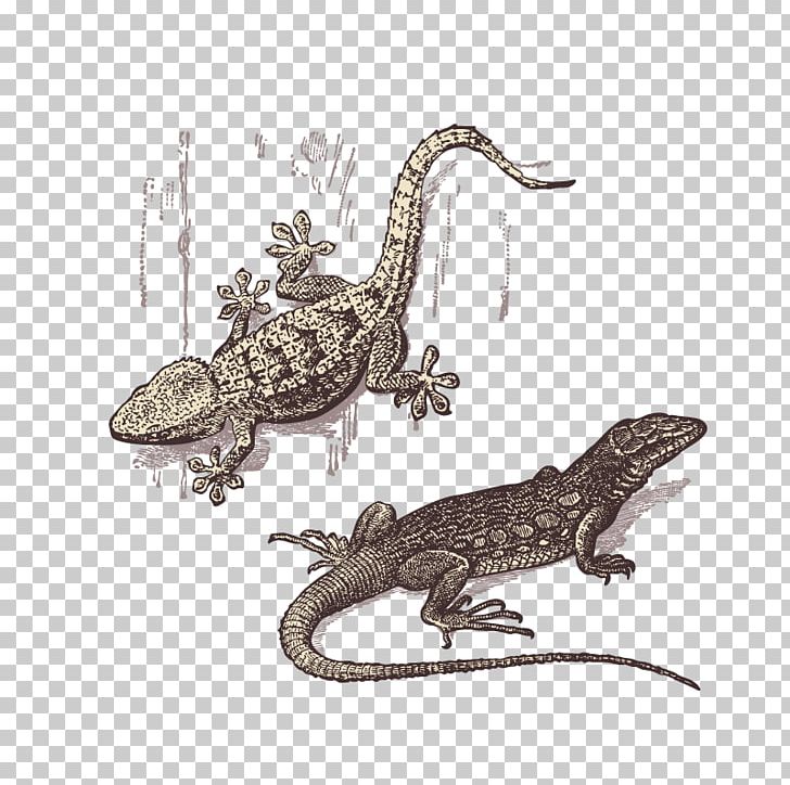 Lizard Gecko Reptile PNG, Clipart, Adobe Illustrator, Animal, Animals, Cartoon Lizard, Encapsulated Postscript Free PNG Download