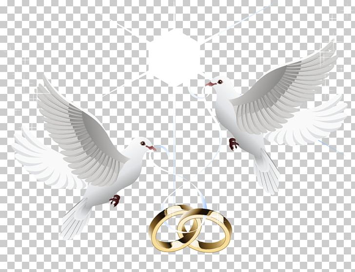 Wedding Ring Marriage Wedding Ring PNG, Clipart, Beak, Bird, Bride, Feather, Happy Birthday Vector Images Free PNG Download