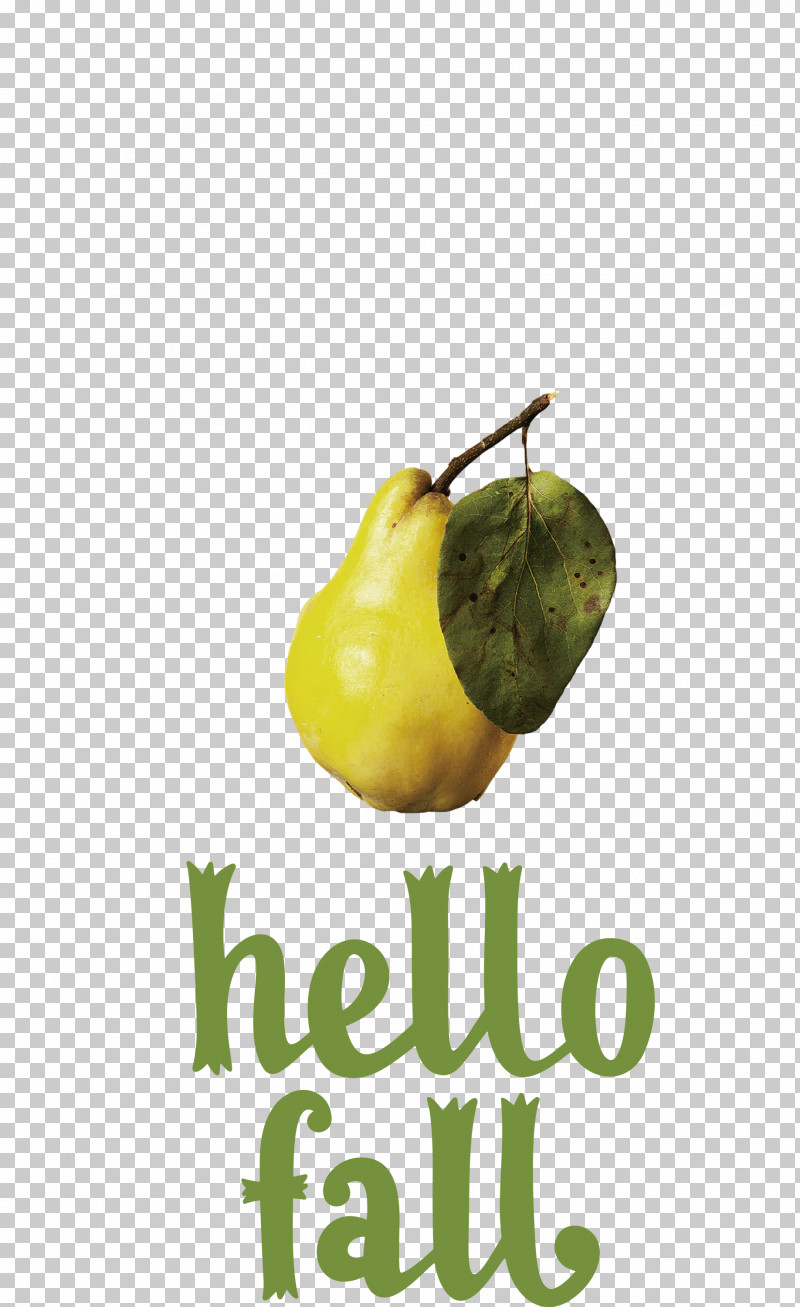 Hello Fall Fall Autumn PNG, Clipart, Apple, Autumn, Fall, Hello Fall, Meter Free PNG Download