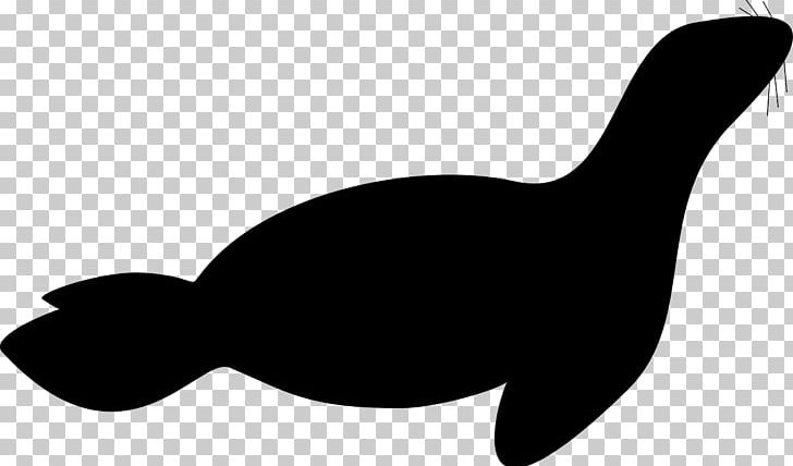Earless Seal Free PNG, Clipart, Art, Beak, Black, Black And White, Clip Free PNG Download