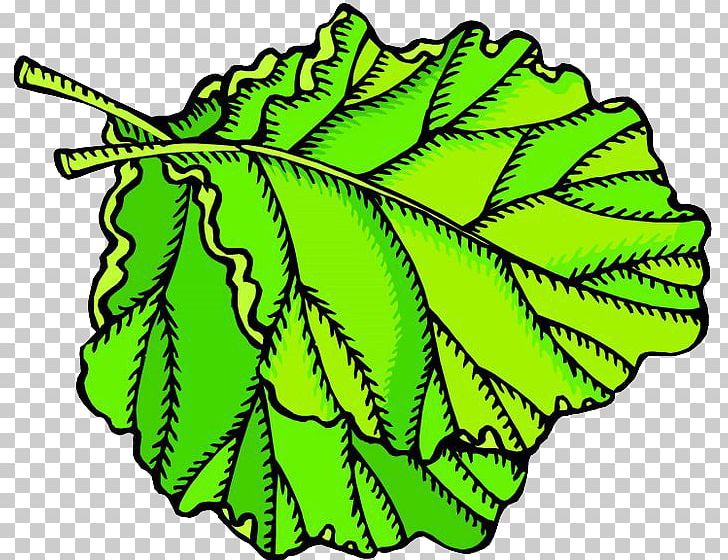Fruit Leaf Vegetable Animation PNG, Clipart, Auglis, Autumn Leaves, Banana Leaves, Cabbage, Cartoon Free PNG Download